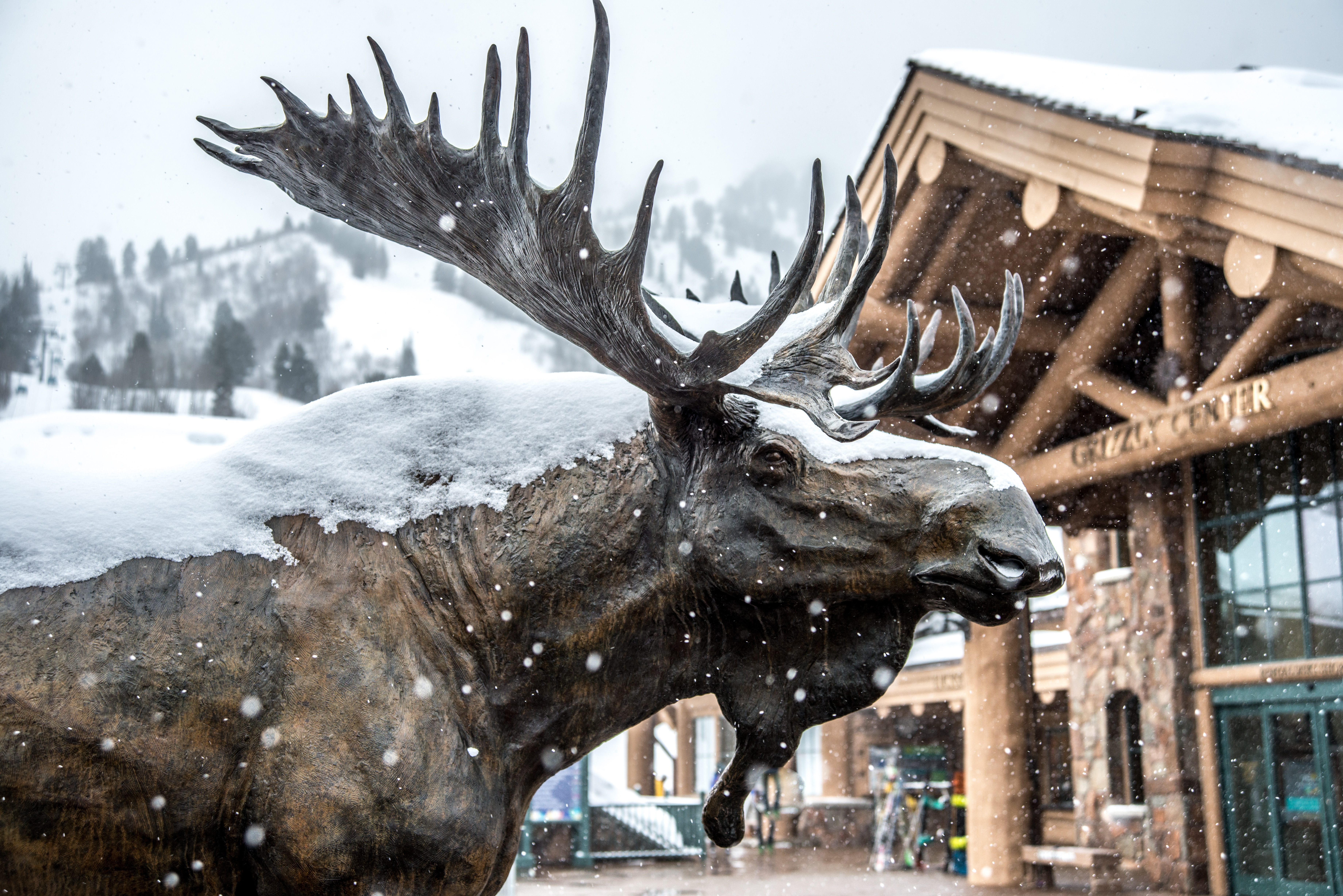 winter_scenic_moose
