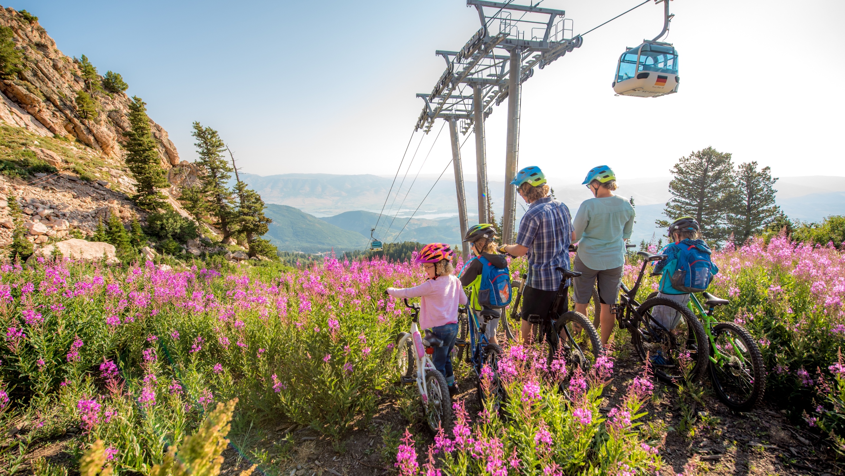 flowers_or_valley_views_with_bikes