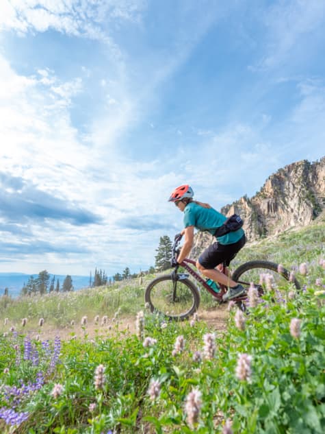 mountain-biking-strawberry-terrain