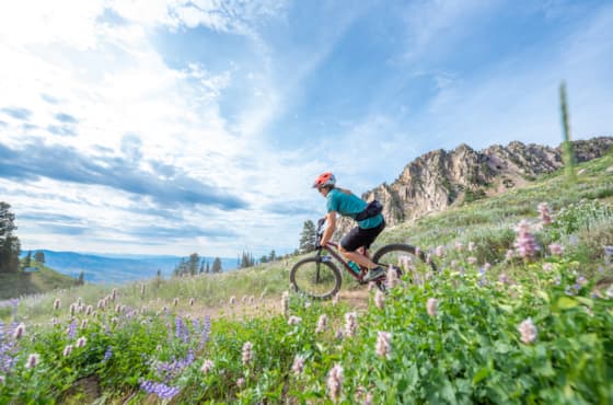mountain-biking-strawberry-terrain