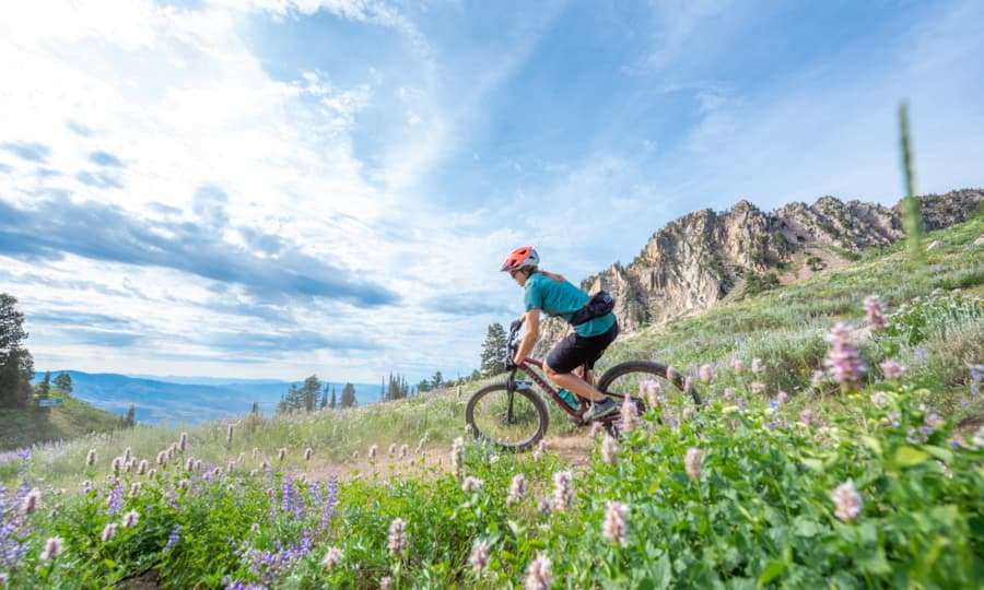 mountain-biking-strawberry-terrain