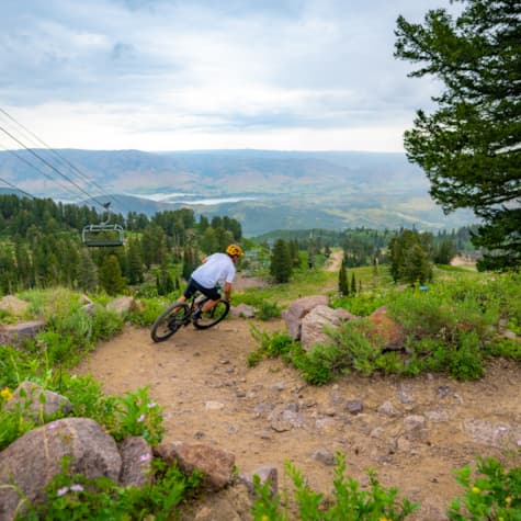 mountain-biking-trail