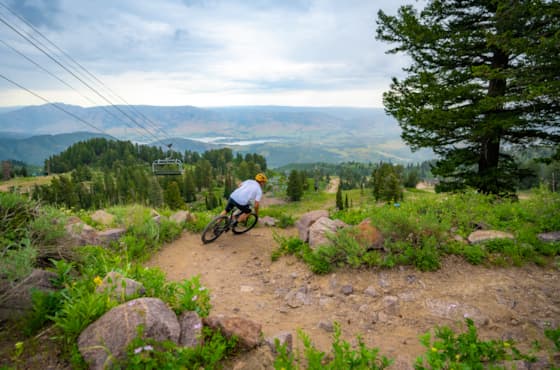 mountain-biking-trail