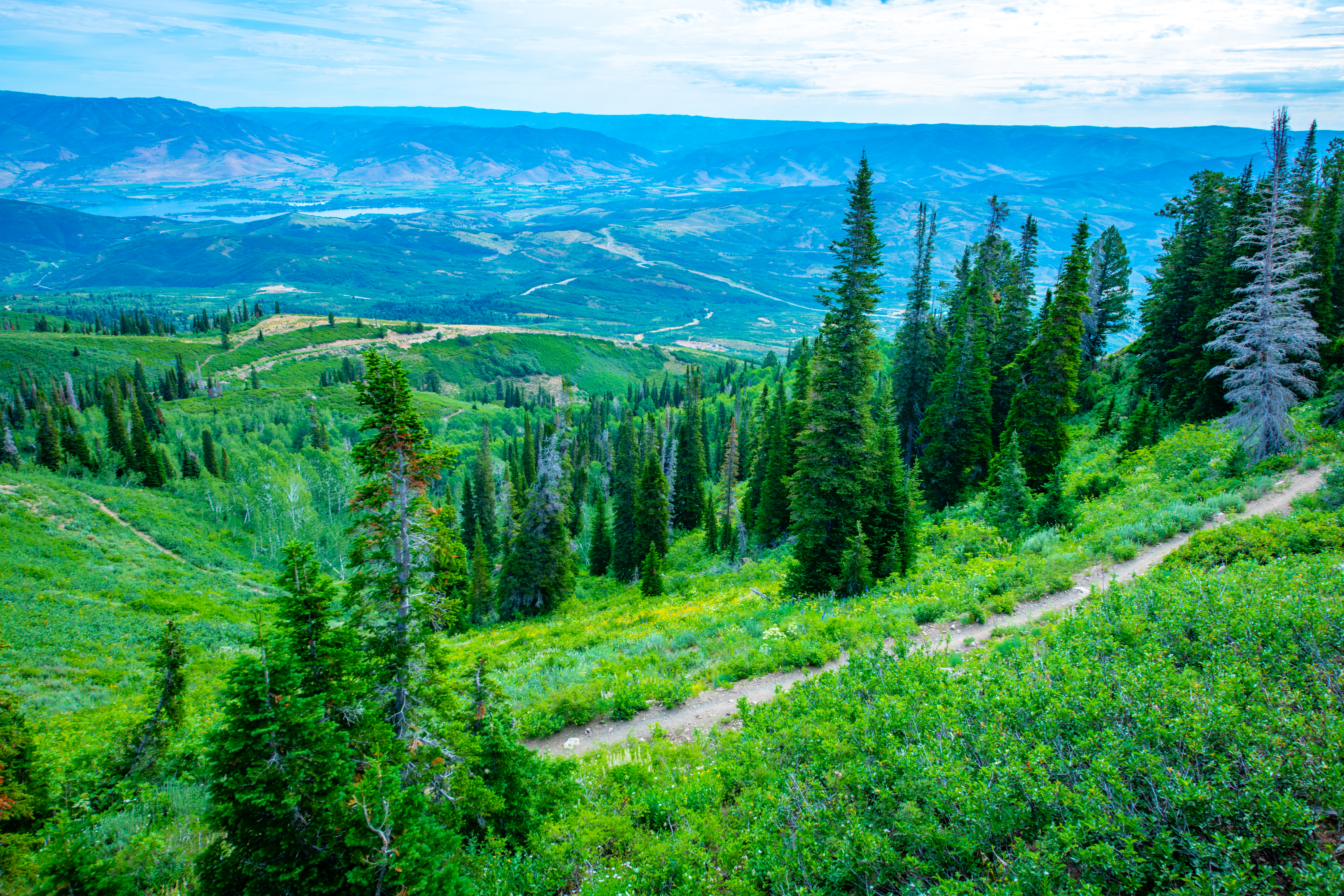 sb_smr_2019marketing_mtnbk_rlt-4013