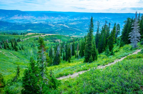 sb_smr_2019marketing_mtnbk_rlt-4013