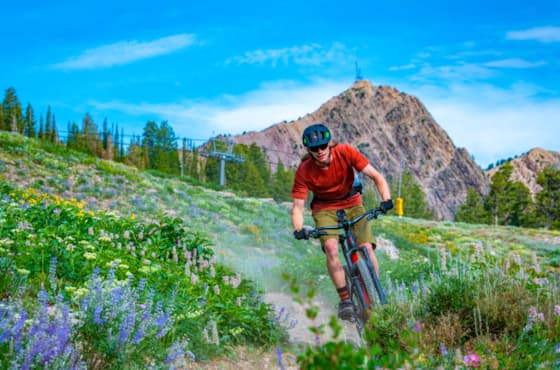 summer-biking-mtogden