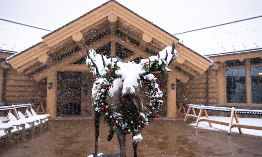 holiday_parties_moose