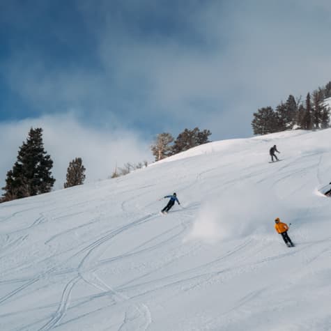 downhill_action_winter