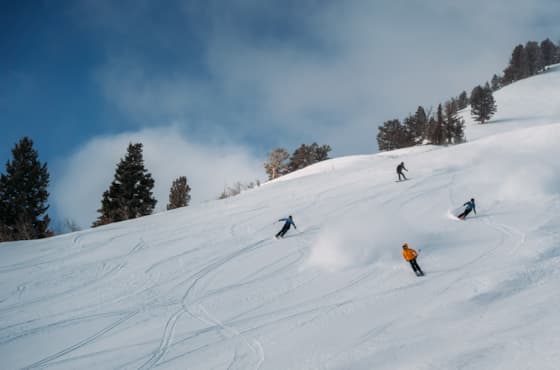 downhill_action_winter