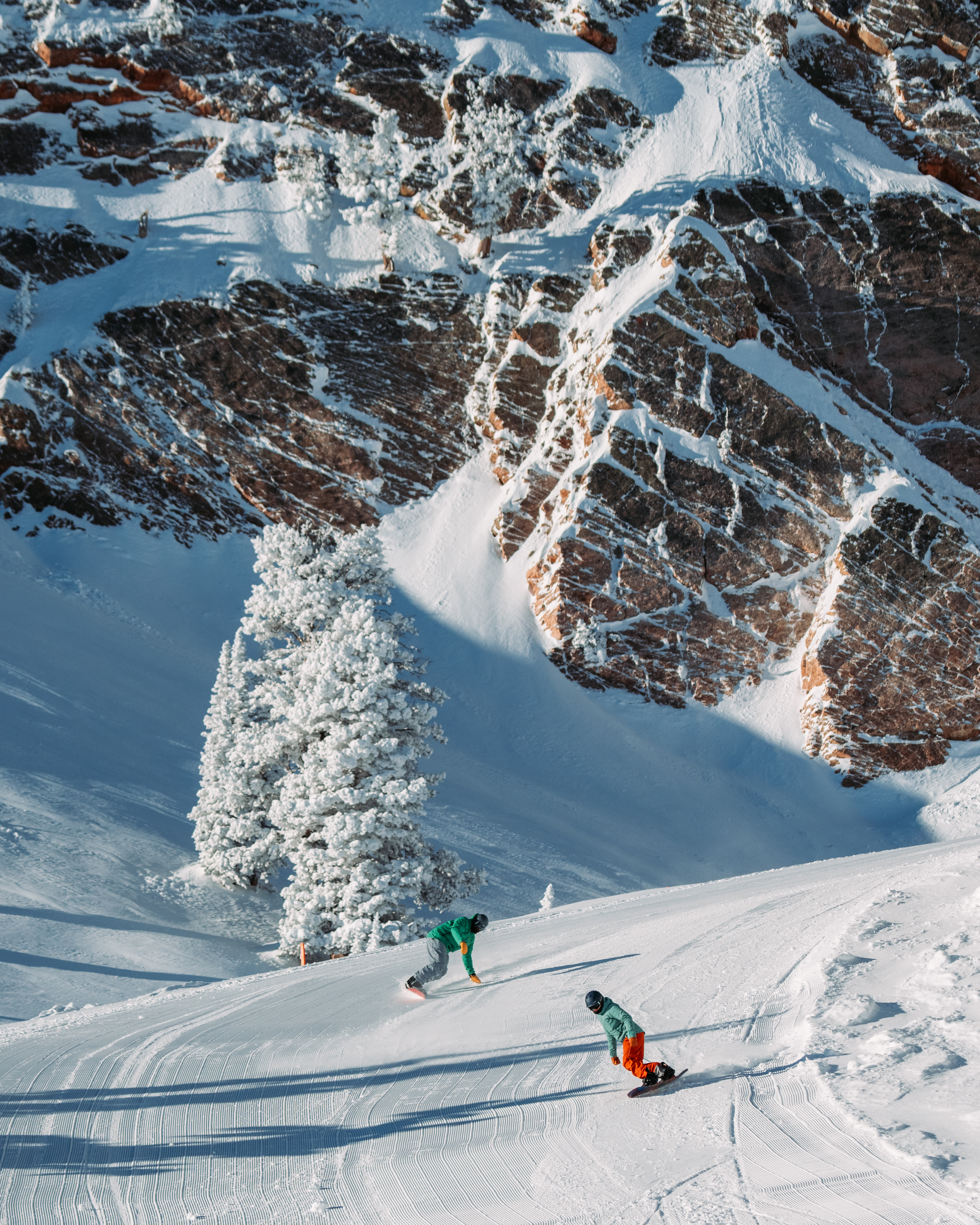 groomed_boarding_scenic
