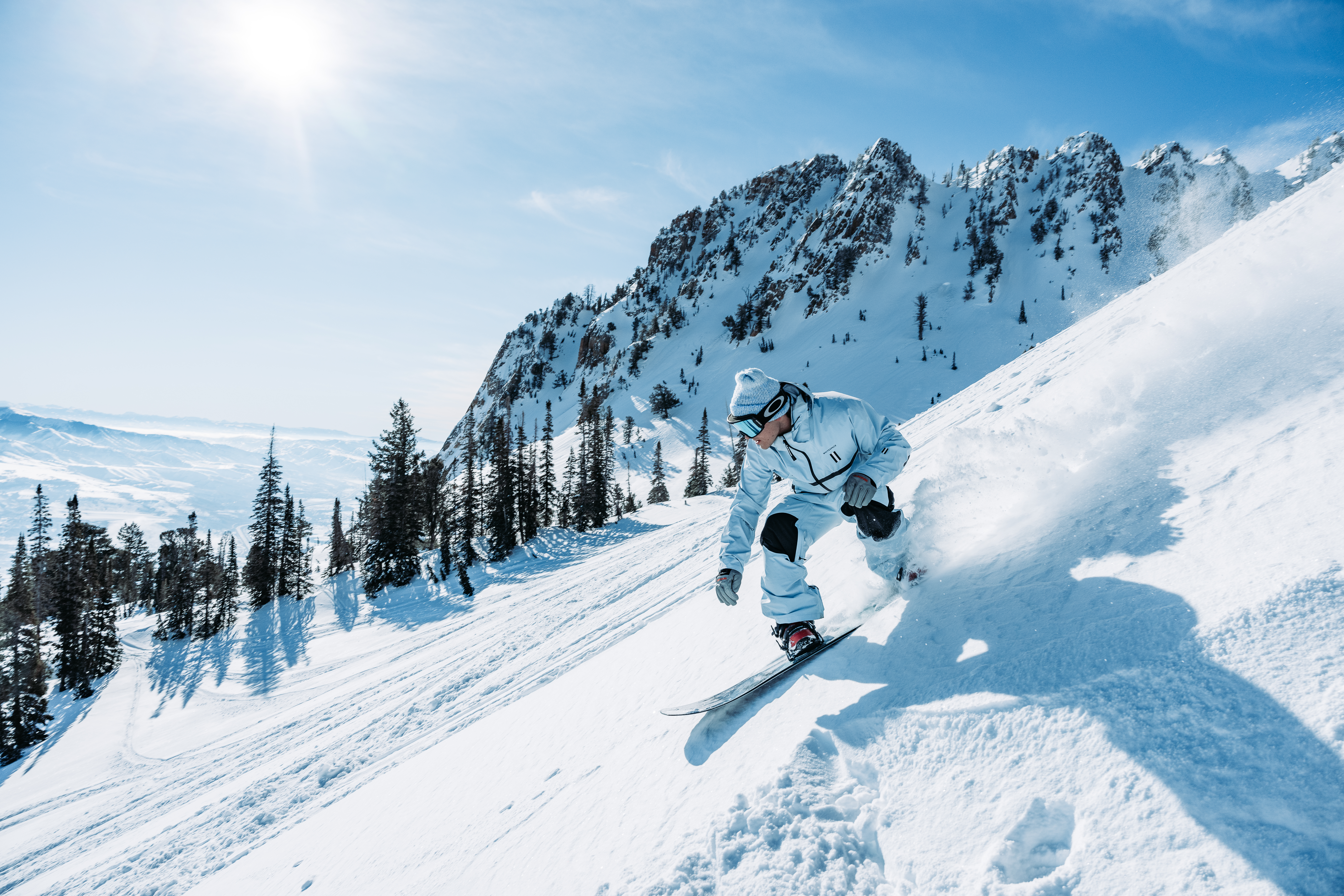 action_boarder_bluebird