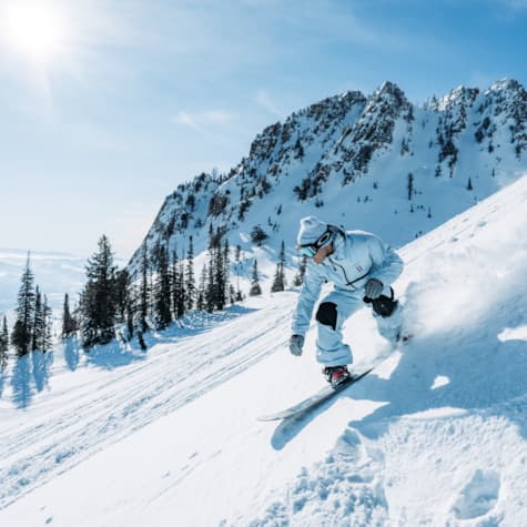 action_boarder_bluebird