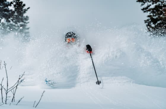 skier_deep_powder