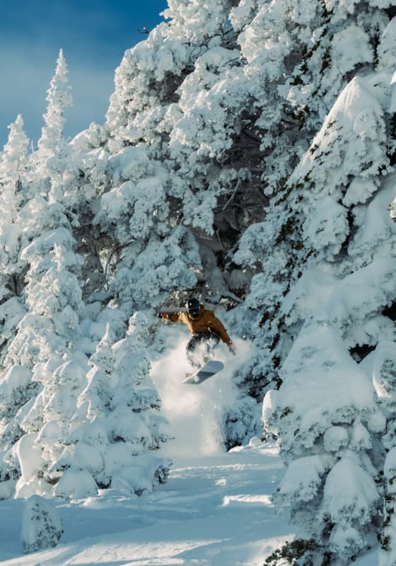 snowboarder_jumping_through_trees
