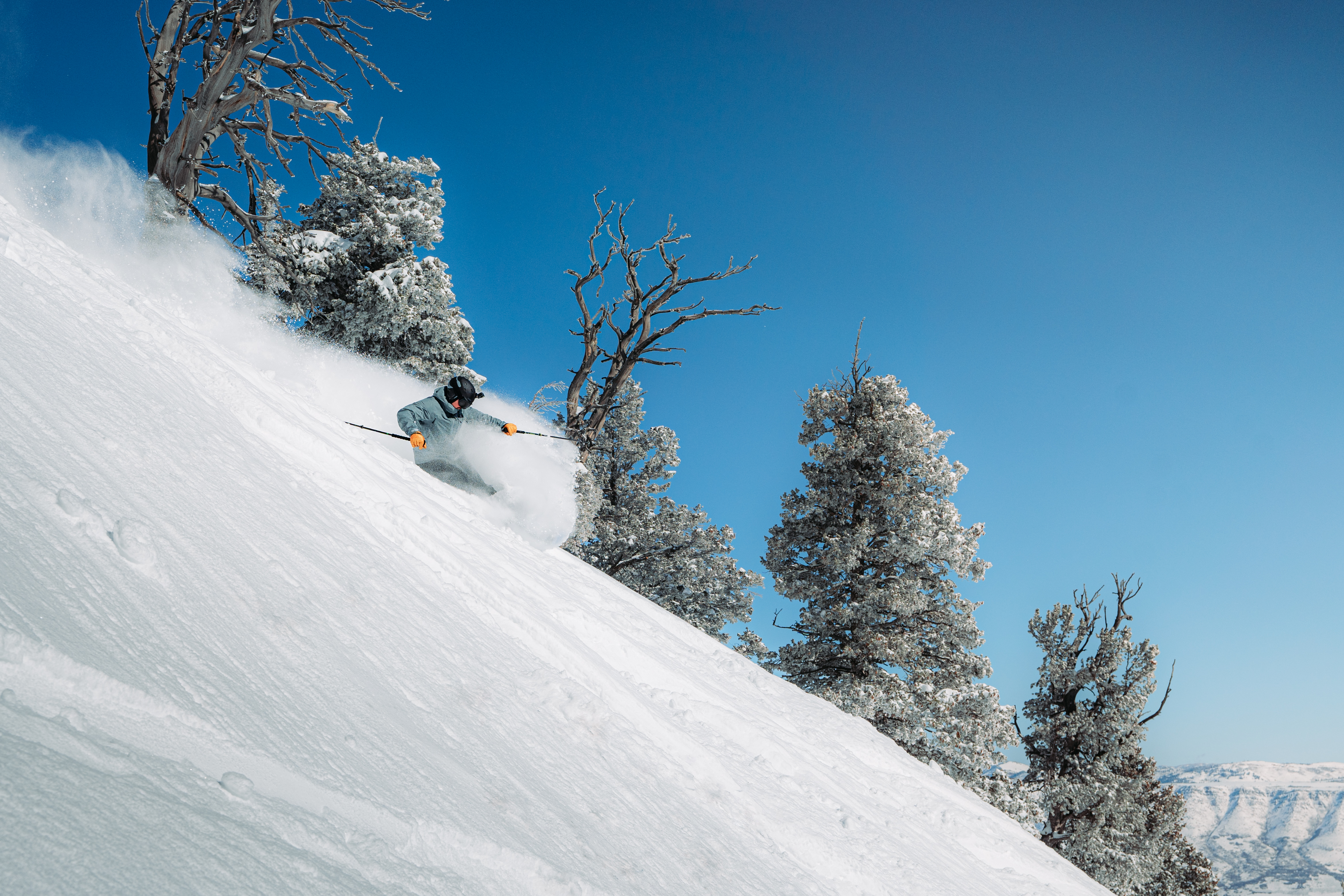 winter_action_powder_brooks_nn