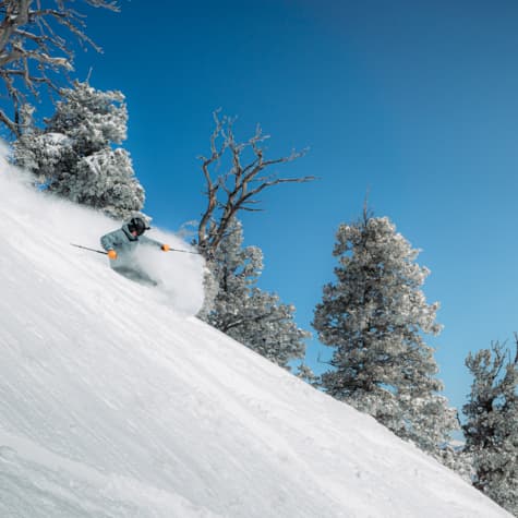 winter_action_powder_brooks_nn